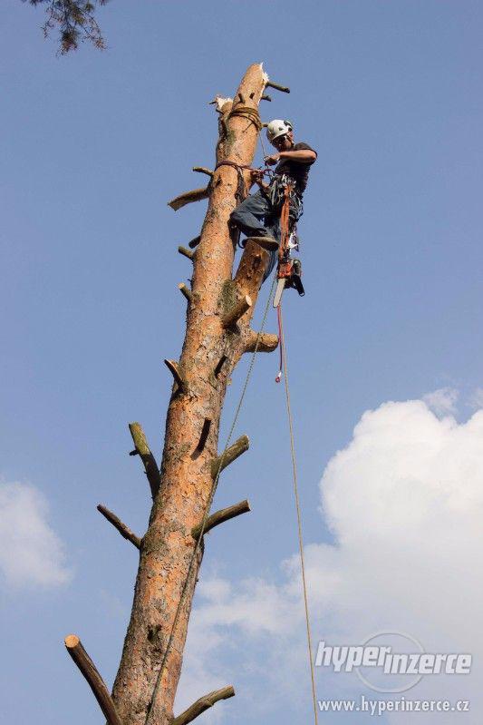 Rizikové kácení stromů horolezeckou technikou - foto 2