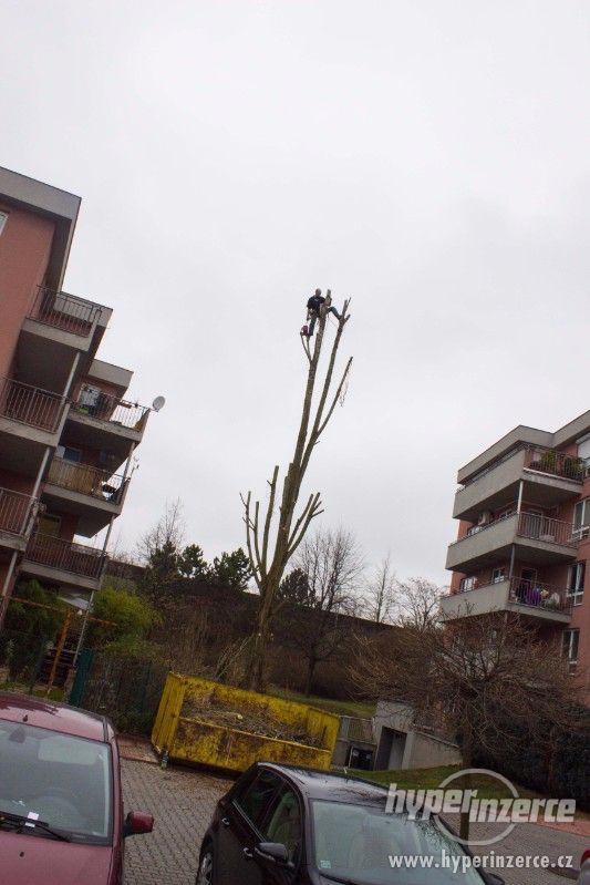 Rizikové kácení stromů horolezeckou technikou - foto 3