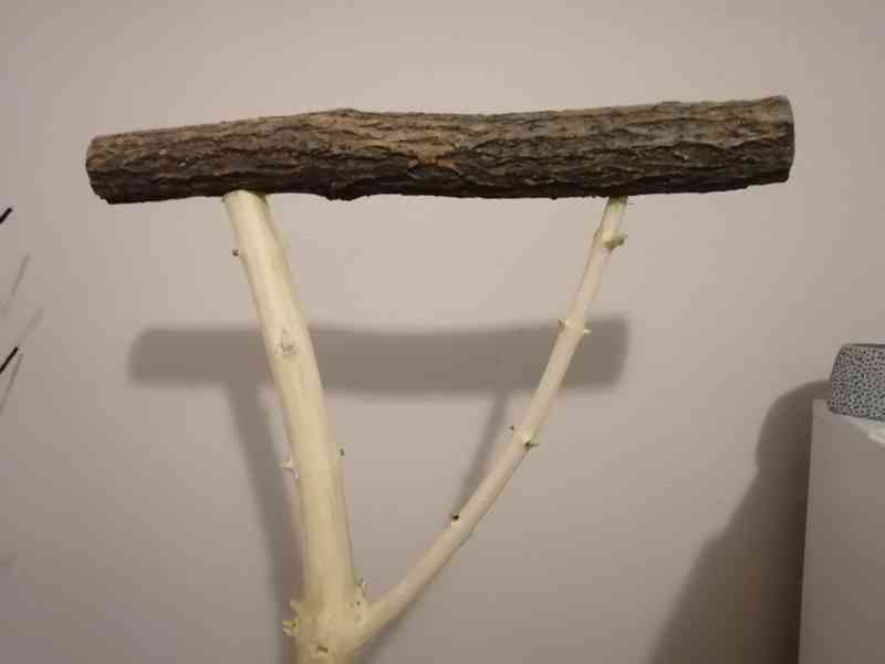 Bidlo pro papoušky  - foto 2