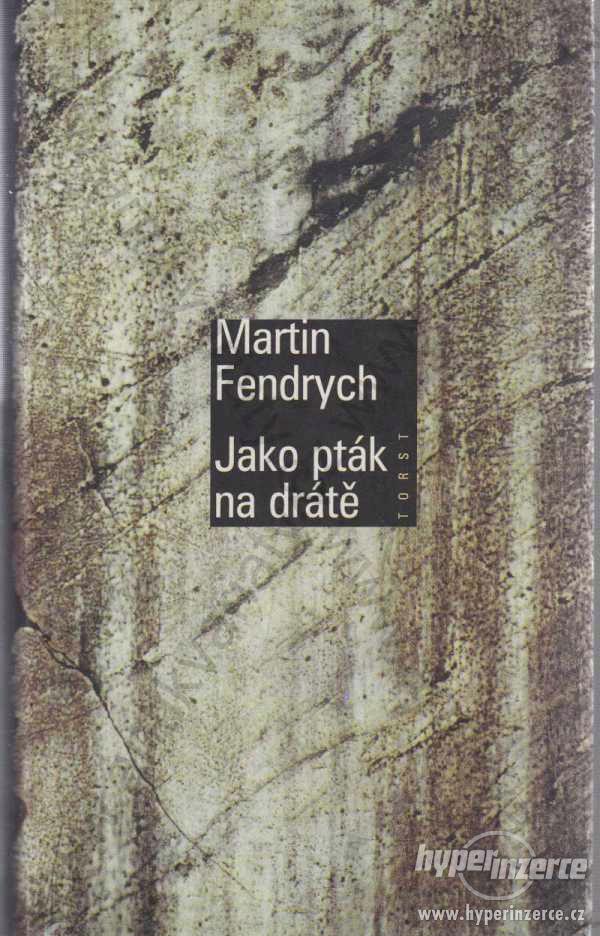 Jako pták na drátě M. Fendrych 1998 Torst, Praha - foto 1