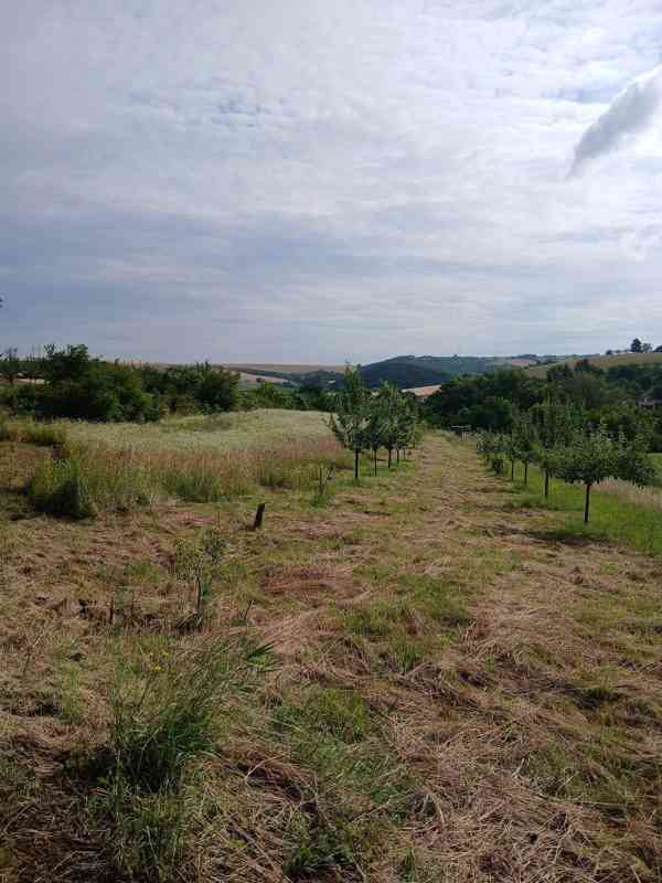 Podám pozemek 1173m2 v obci Milešovice u Slavkova u Brna - foto 3