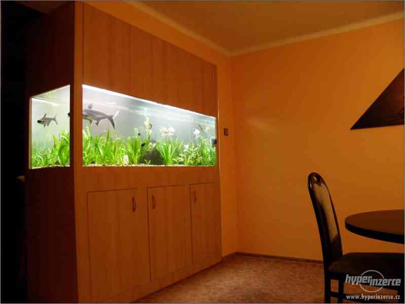 LUXUSNÍ A VELMI VKUSNÉ AKVÁRIUM - 702 LITRŮ - foto 1