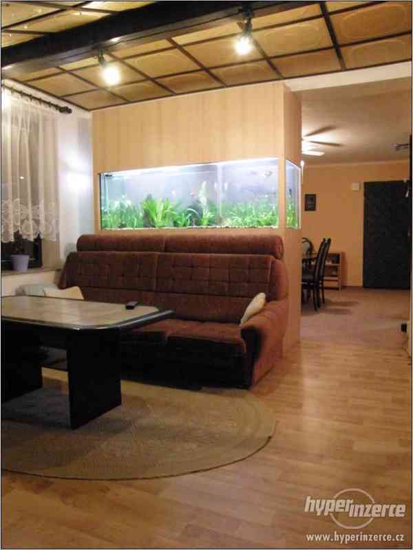 LUXUSNÍ A VELMI VKUSNÉ AKVÁRIUM - 702 LITRŮ - foto 2