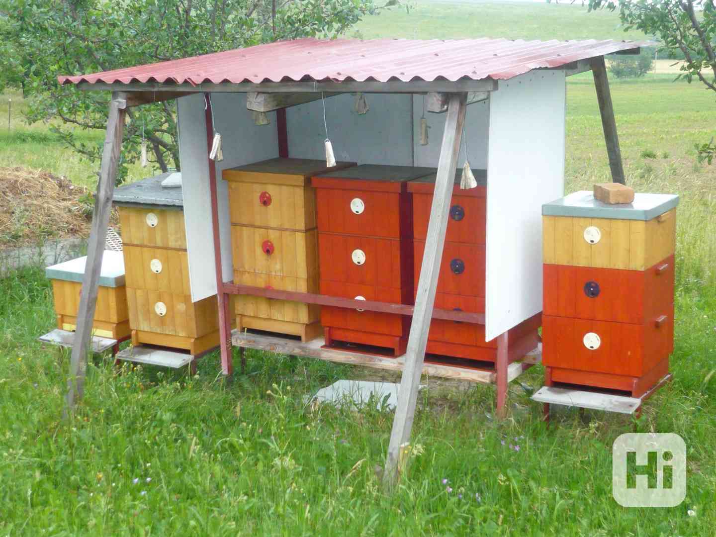 Vyzimované oddělky - foto 1