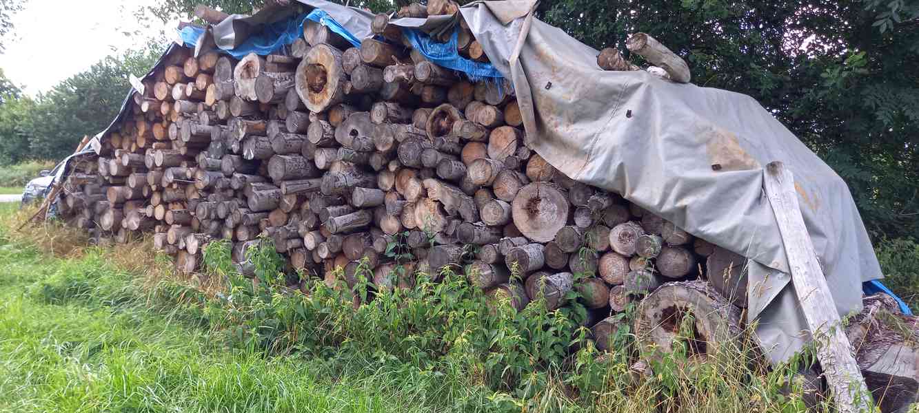 Palivové dřevo suché - foto 2