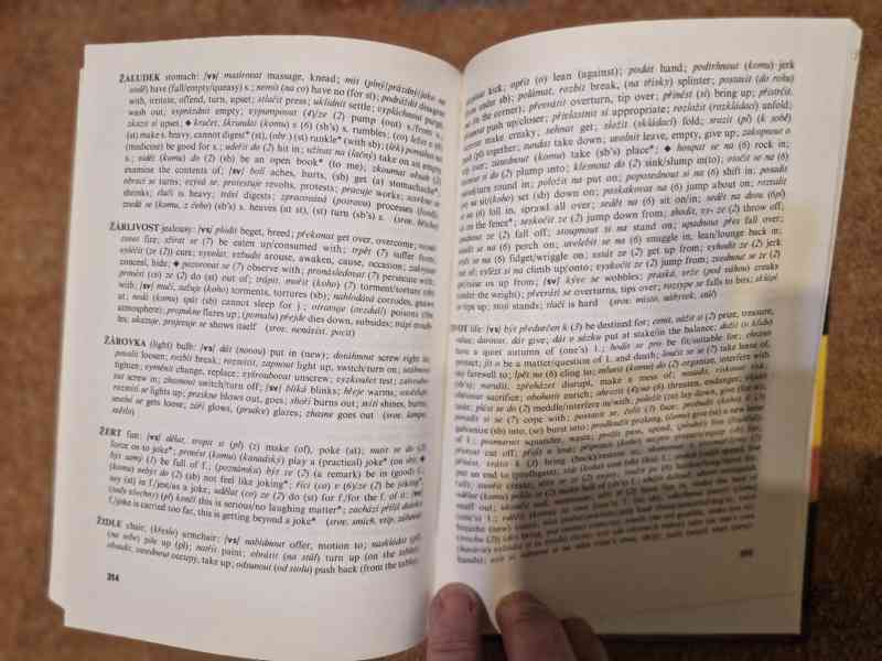 Technické a jiné slovníky - foto 14