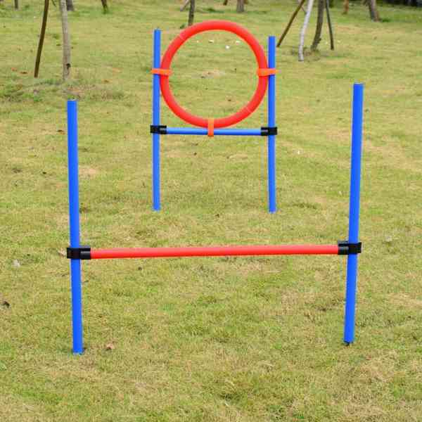 Agility překážky pro psy | sada 3 typy - foto 5