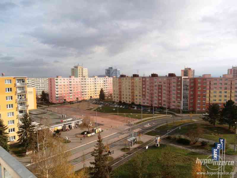 Pronájem bytu 2+1 s lodžií, Skupova ul., Plzeň - Bory - foto 6