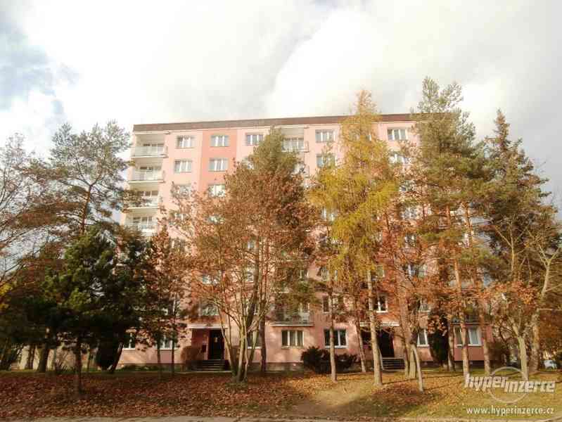 Pronájem bytu 2+1 s lodžií, Skupova ul., Plzeň - Bory - foto 7