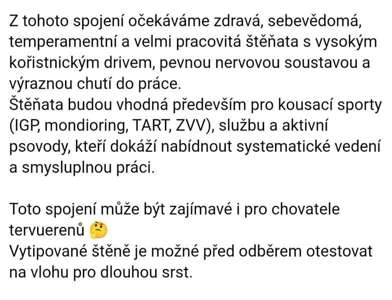 Belgický ovčák malinois s PP - foto 11