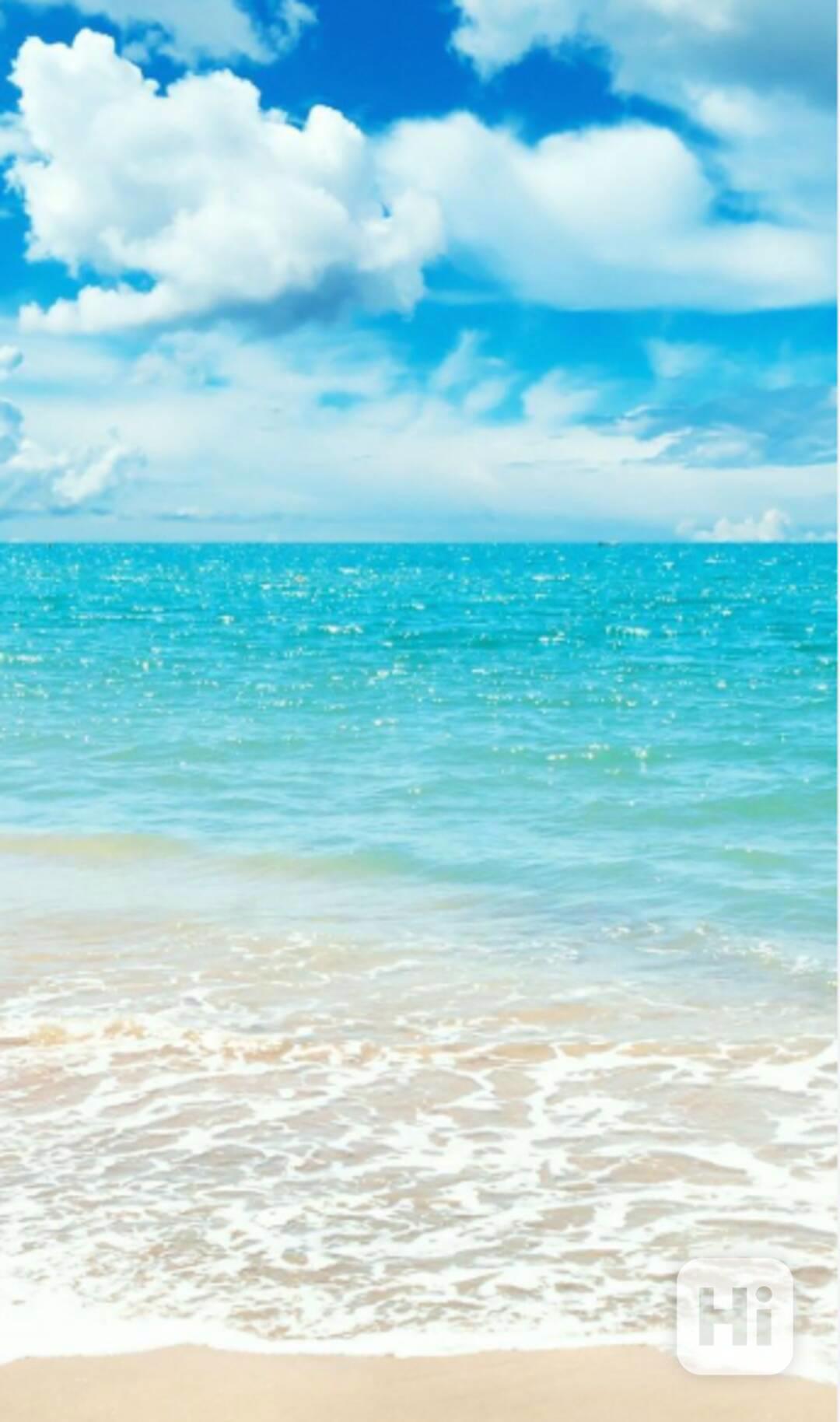 wsarsetgrffhygj - foto 1