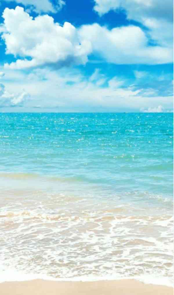 wsarsetgrffhygj - foto 1