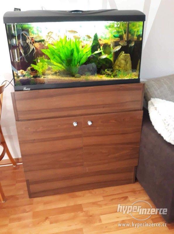 Akvarium - foto 4