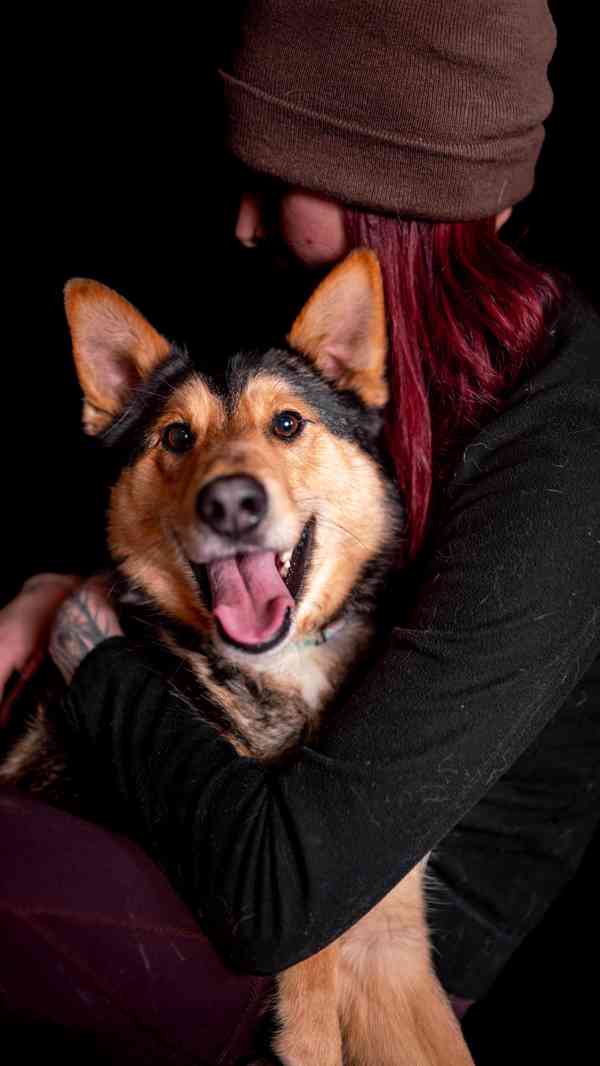 Onyx - hodný aktivní kluk, x ovčák, cca 2 roky - foto 10