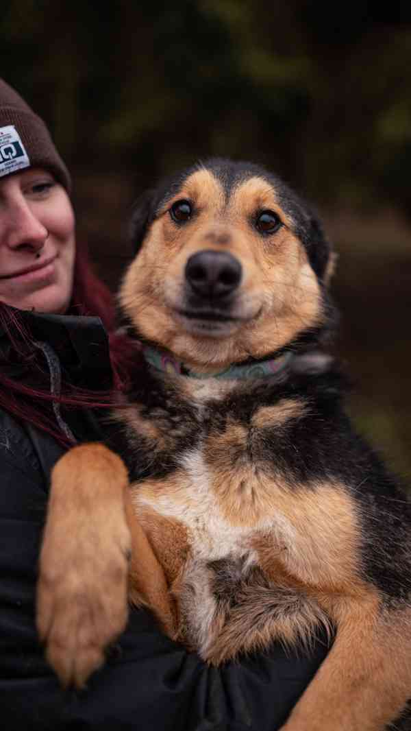 Onyx - hodný aktivní kluk, x ovčák, cca 2 roky - foto 3