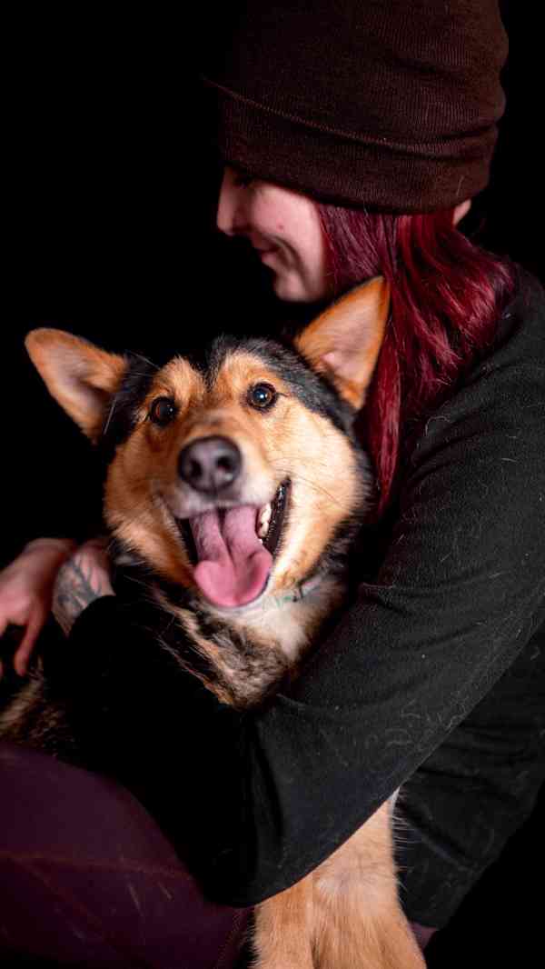 Onyx - hodný aktivní kluk, x ovčák, cca 2 roky - foto 11