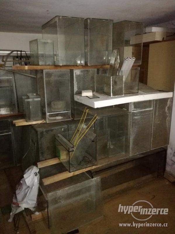 Prodám akvaria - foto 1