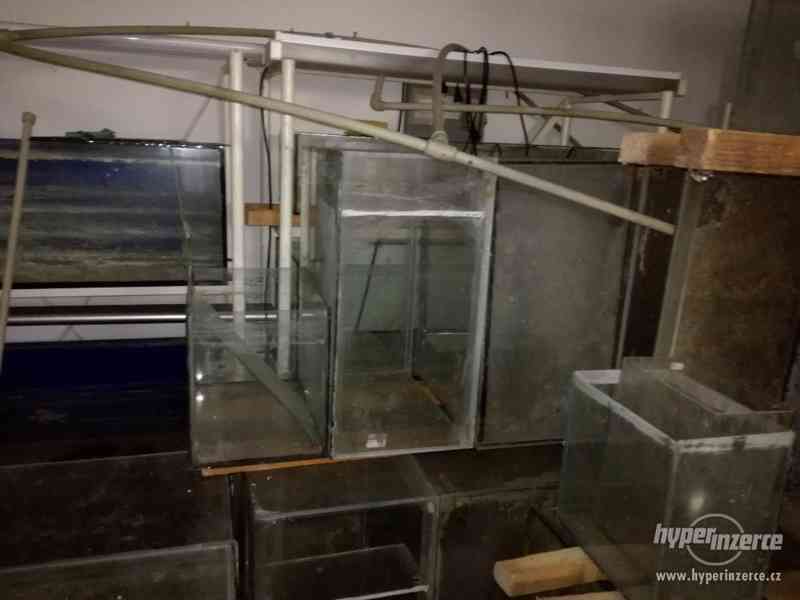 Prodám akvaria - foto 3