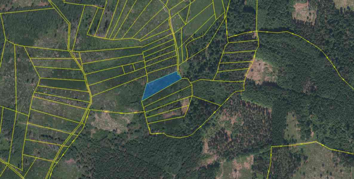 Lesní pozemek Buršice - foto 11