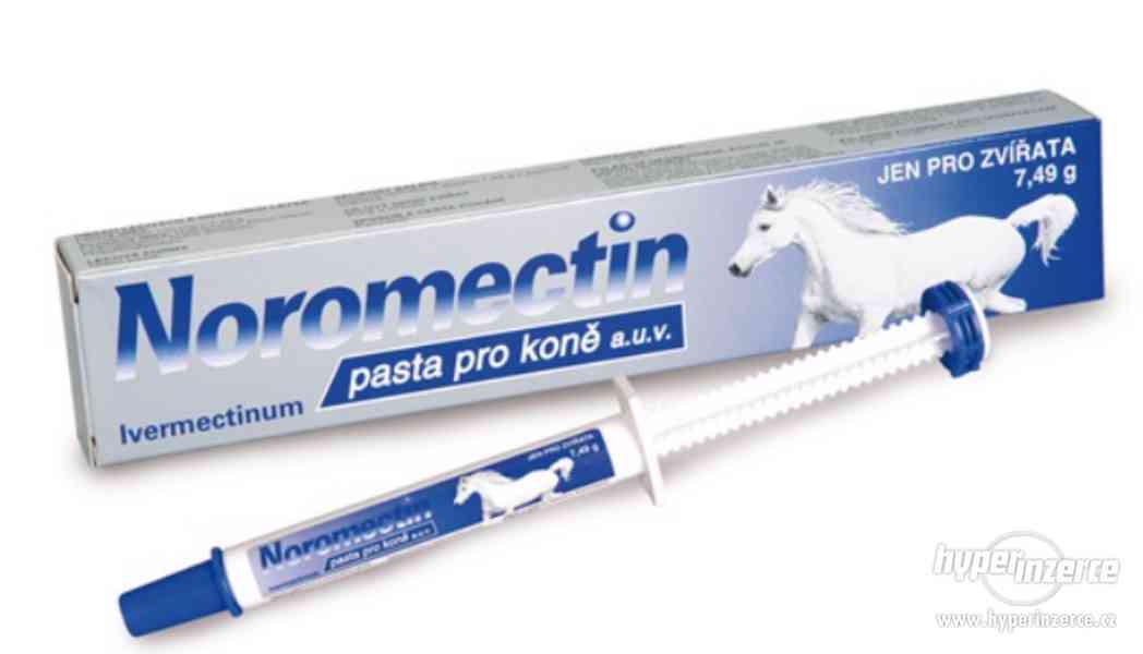 Kúpim Ecomectin alebo Noromectin pre kone - foto 2
