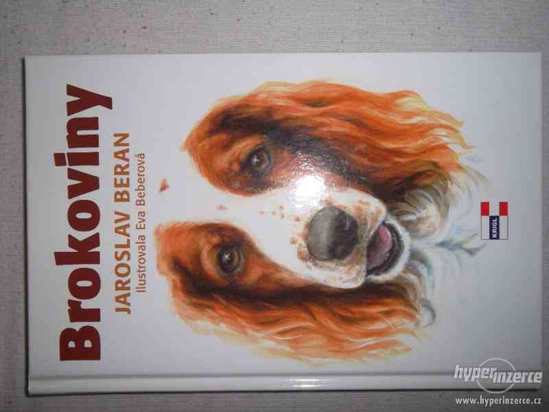Prodám knihu Brokoviny - foto 1