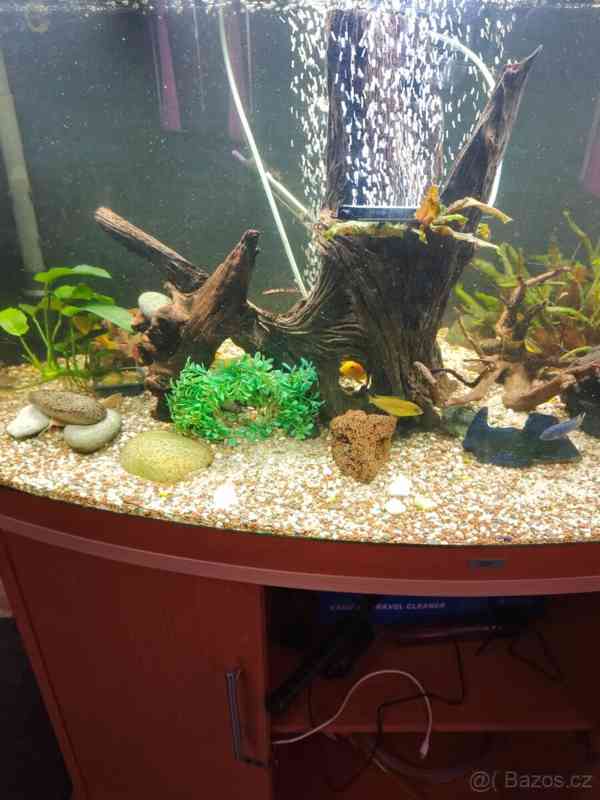 Akvárium Juwel vision  - foto 3