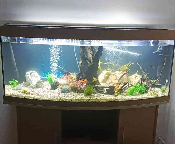 Akvárium Juwel vision  - foto 6