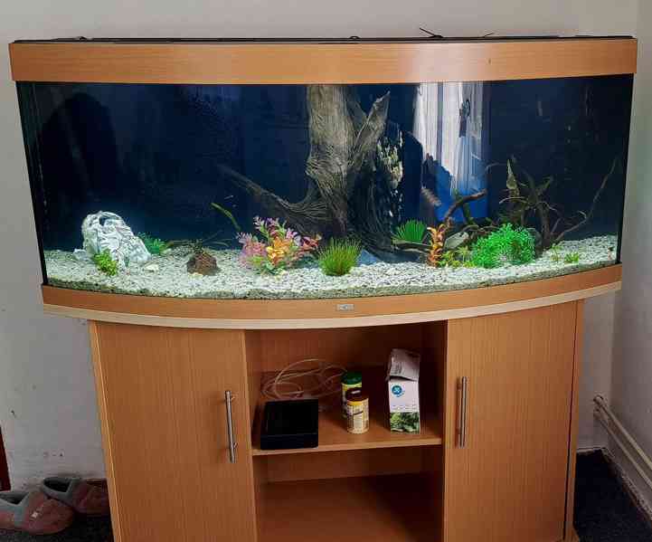 Akvárium Juwel vision  - foto 5