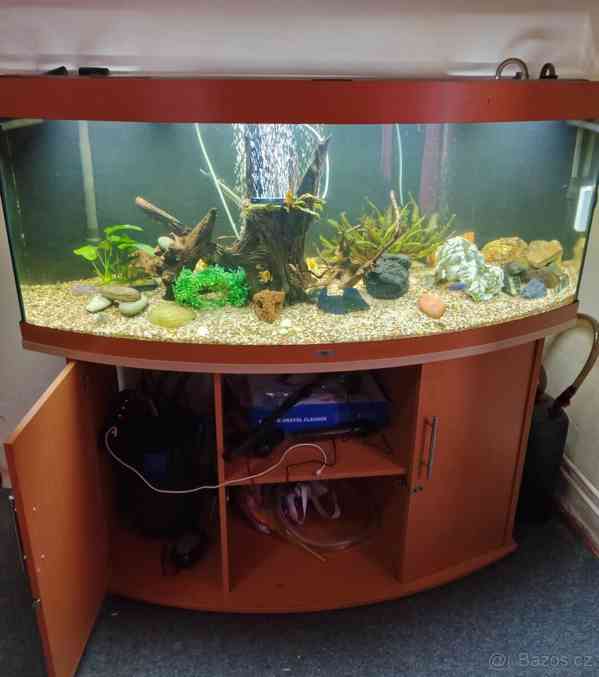 Akvárium Juwel vision  - foto 2