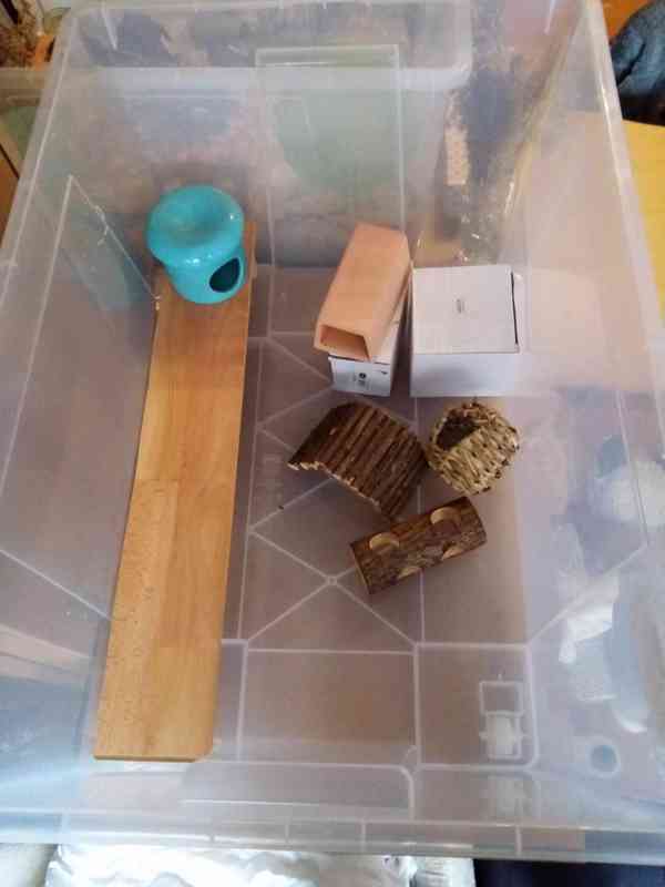 Samla box a vybavení pro křečka - foto 2