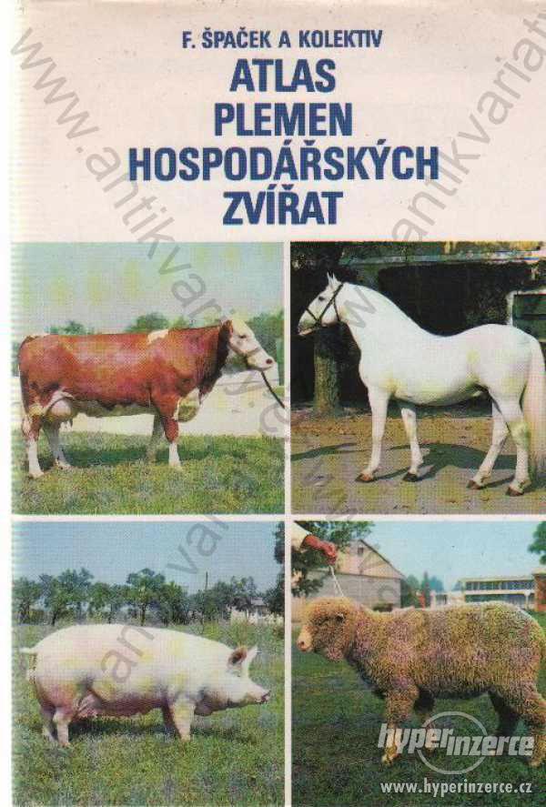 Atlas plemen hospodářských zvířat F. Špaček - foto 1