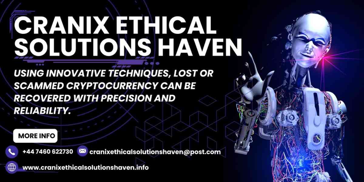 CALL CRANIX ETHICAL SOLUTIONS HAVEN FOR USDT RECOVERY EXPERT - foto 2