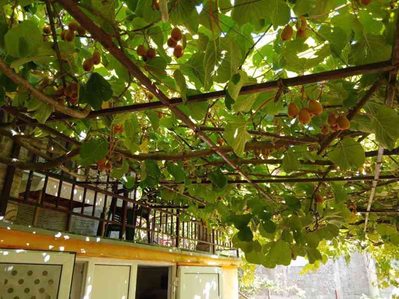 🌊 Penzion v Černé Hoře – jen 1100 m od moře - foto 4