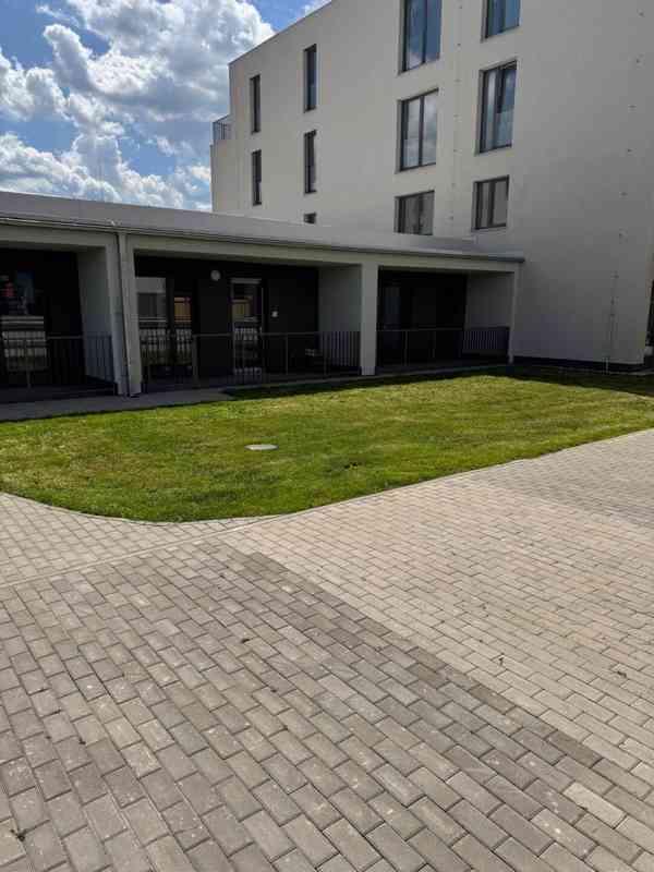 Péče o zeleň,  výškové práce, arboristika. - foto 3