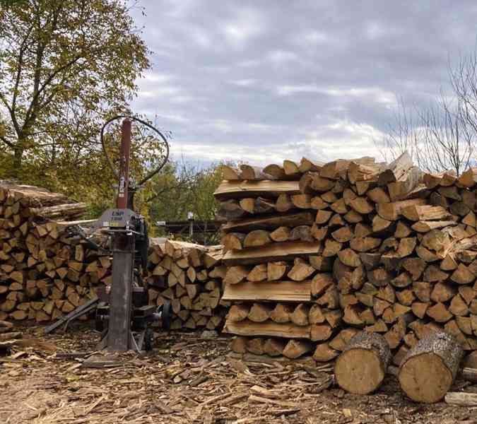 Kvalitní palivové dřevo skladem - foto 3