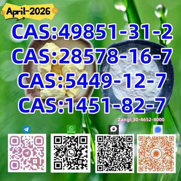 China Reliable Supplier PM.K CAS 28578-16 -7 - foto 2