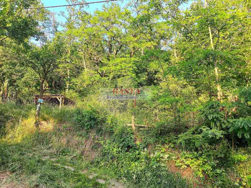 Ivančice okres Brno-venkov pronájem RD 2+1 u lesa zahrada - foto 15