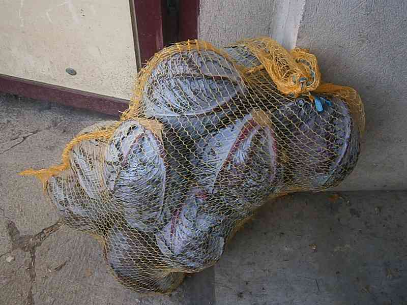 Zelí na krouhání - foto 5