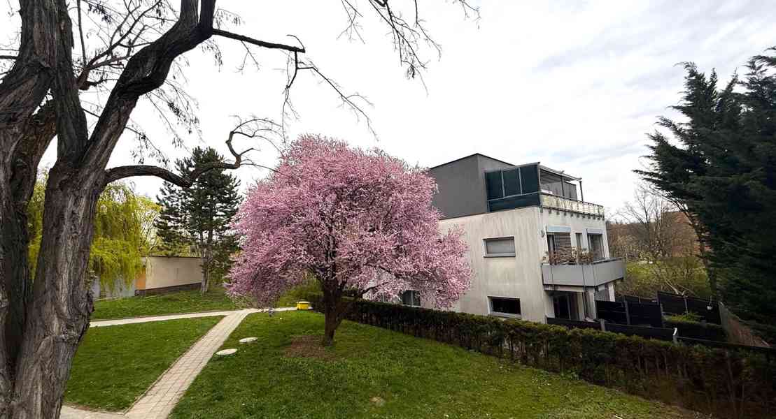 PRONÁJEM PROSTORNÉHO BYTU 3+1 S LODŽIÍ A SKLEPEM, BRNO-KOMÍN - foto 10