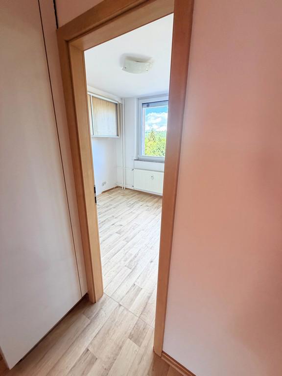 PRONÁJEM BYTU 3+KK/3+1 SE ZASKLENOU LODŽIÍ,  BRNO - KOMÍN - foto 8