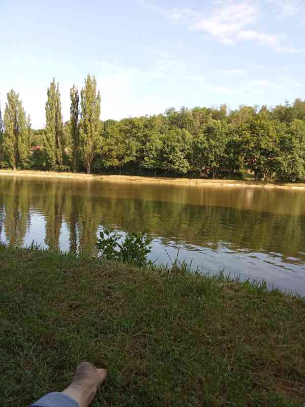 Venčení psů  - foto 2
