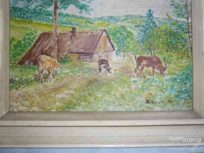 Malovan.obraz s krajinou a krávami-podpis BAUER 74 - foto 2