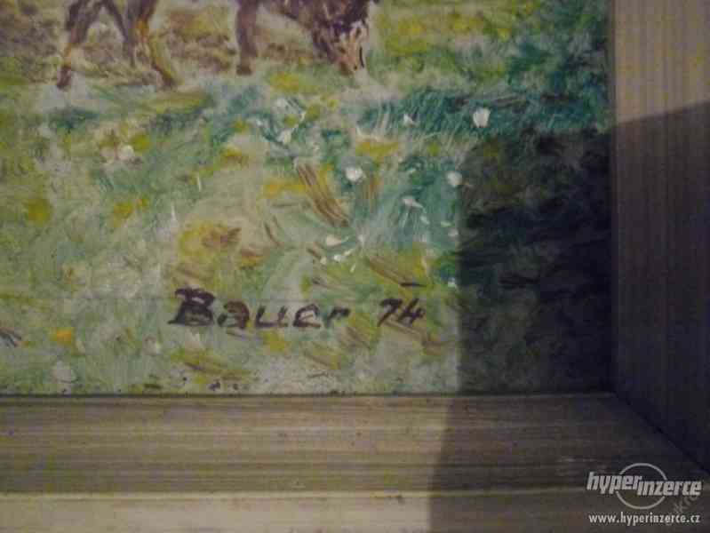 Malovan.obraz s krajinou a krávami-podpis BAUER 74 - foto 4