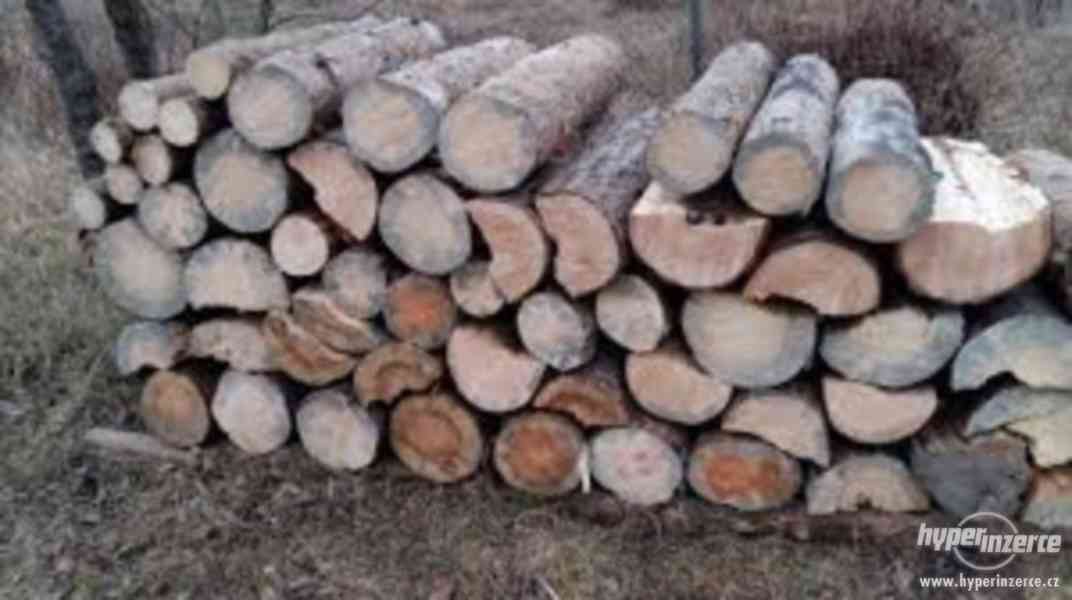 Prodám Palivové dřevo - foto 1