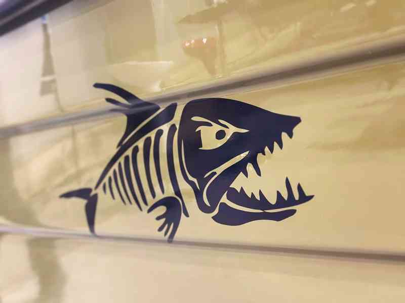 India 431 + Mercury F 10 EFI EL - foto 6