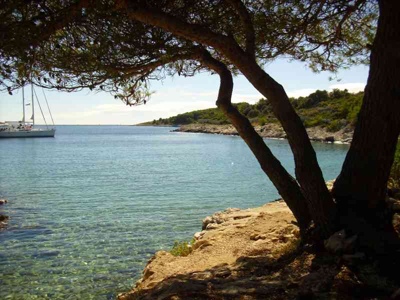 Přenechání termínu ostrov La Tolqa - Riviera Dalmatia - foto 2