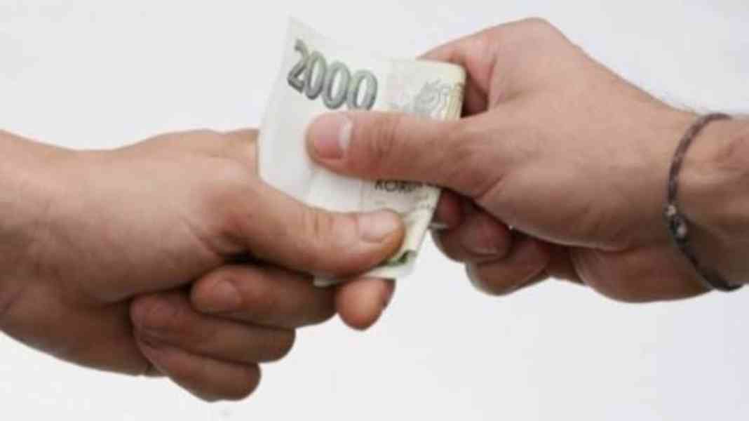 Finanční podpora od soukromého investora (Česká republika) - foto 8