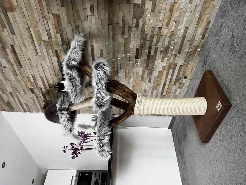 Odpočívadlo pro kočky  - foto 2