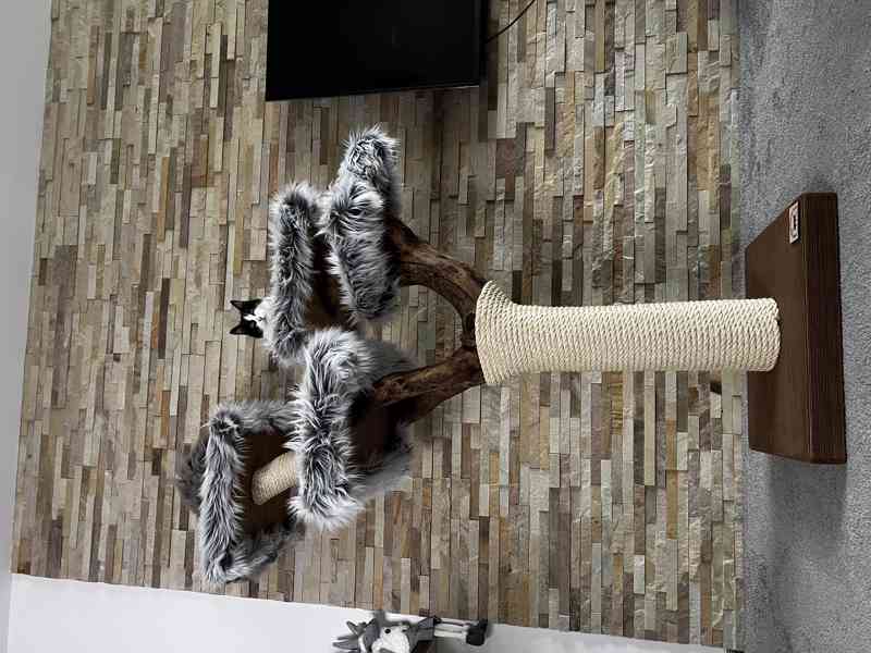 Odpočívadlo pro kočky  - foto 3