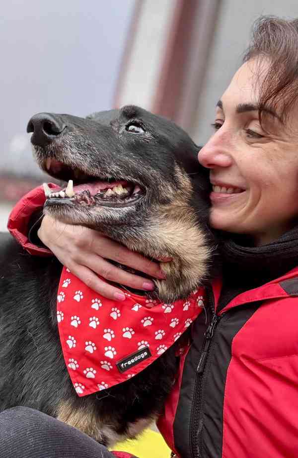 ROSTÍK - 19 kg, kastrovaný psík 10 let  - foto 4